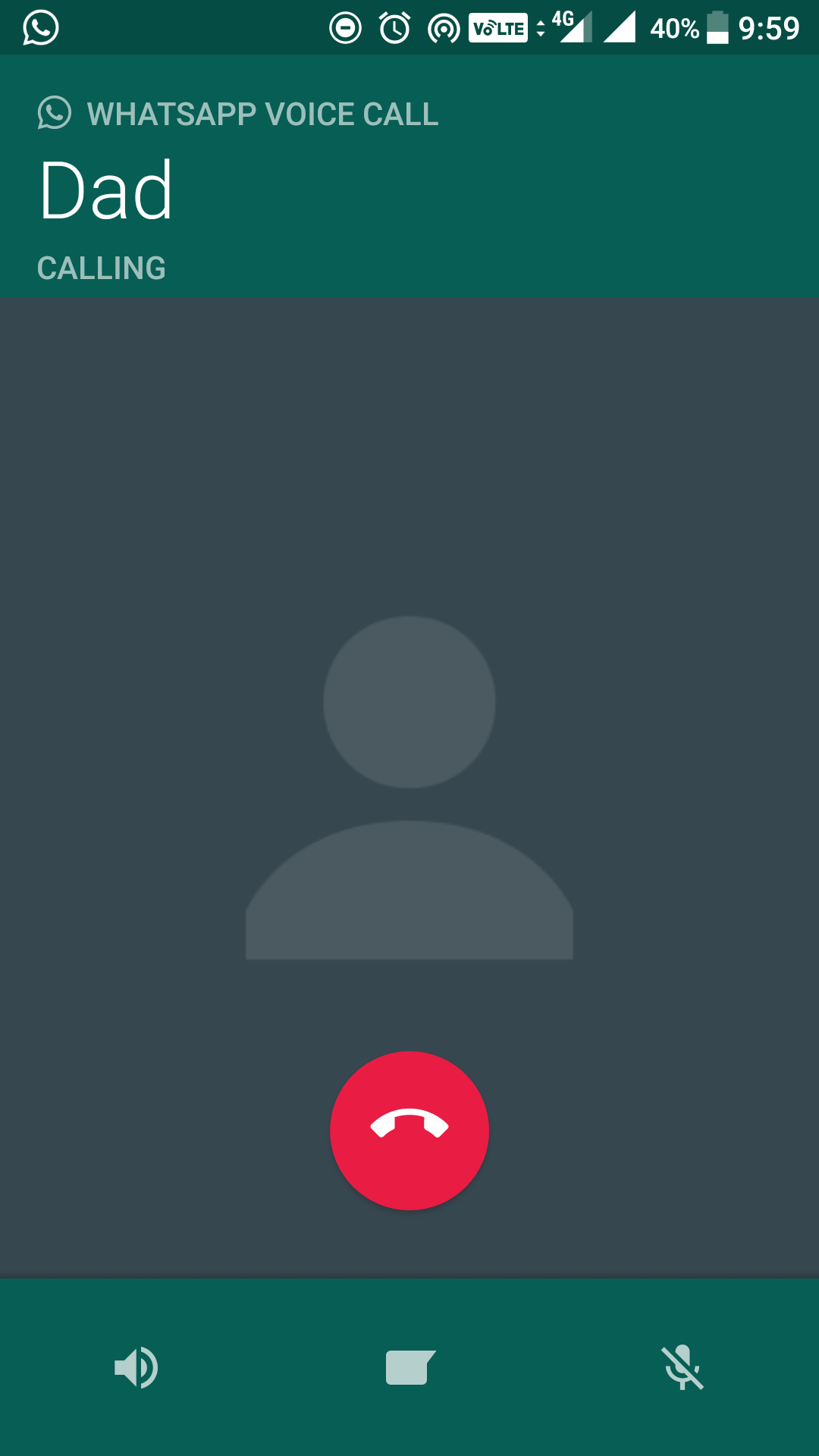 Skype video calls on mac